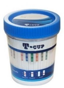 5 Panel T-Cup 